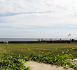 Newport Golf