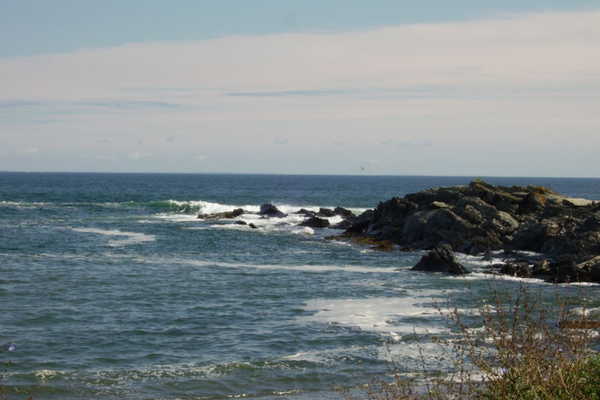 Maine's Coastline