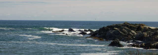 Maine's Coastline