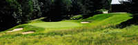 Player at Lyman Orchards GC: #8