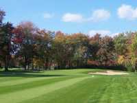 Brookmeadow CC: #17