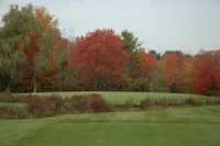 Glen Ellen CC