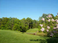 Freeport CC: #7