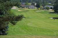 Dutch Elm GC: #18