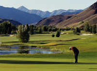 Goodwin GC