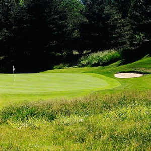 Player at Lyman Orchards GC: #8