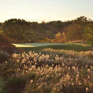 The Meadow At Peabody GC