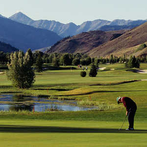 Goodwin GC