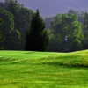 A view of green at Blue Fox Run Golf Club