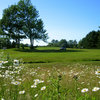 A look at the 9th tee box with daisies in foreground at Freeport Country Club