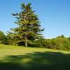 A sunny view of green #8 at Goose River Golf Club