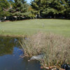 View of 13th Hole at Newton Commonwealth Golf Course