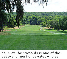 The Orchards